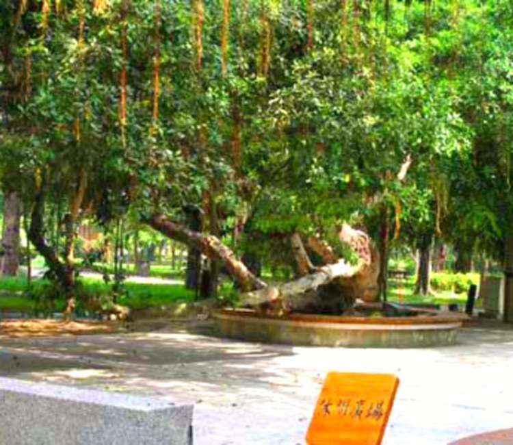 朴子藝術公園